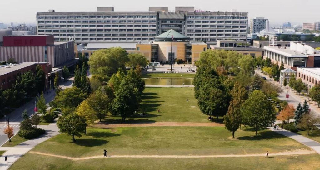 York University Admission