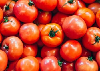 Unveiling the Genetic Secrets of Heat-Resilient Tomato Crops