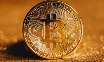 bitcoin price chart 2025 wikimedia