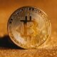 bitcoin price chart 2025 wikimedia