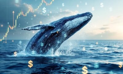 whales in finance market
