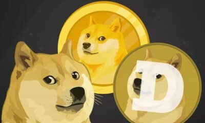 dogecoin price chart with elon musk and donald trump