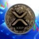 investors-meeting-xrp-paper-data-wikimedia