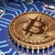 quantum computing bitcoin wallet" search term