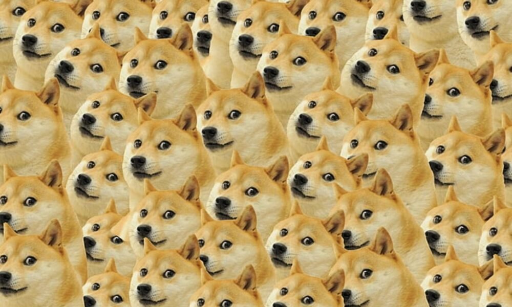 shiba inu dog cryptocurrency coin meme