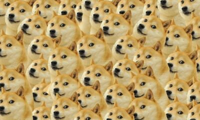shiba inu dog cryptocurrency coin meme