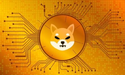 Shiba Inu Slumps 35% in 2025 Despite Crypto Boom — Has the Meme Coin Lost Its Bite? 78 shiba inu coin price chart 2025 decline crypto