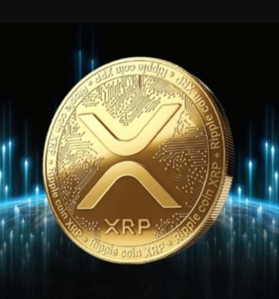 XRP in 2016