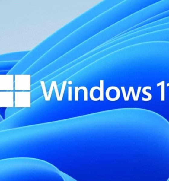 Windows 11