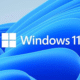 Windows 11