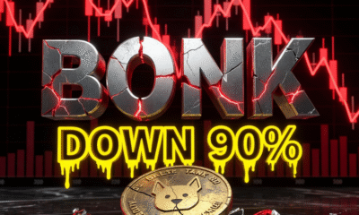 Bonk meme coin Solana price crash 2026 investment risk