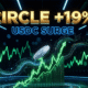 circle internet crcl stock surge usdc stablecoin growth 2026